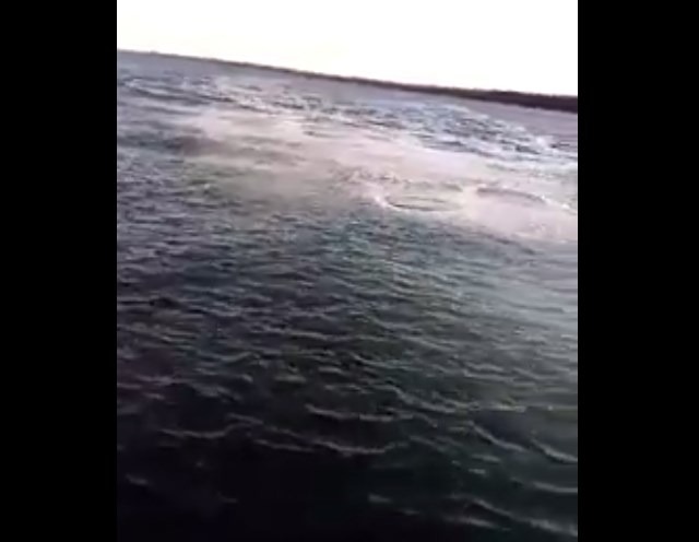 Vídeo divulgado com suposta "poluição ambiental" da Suzano é antigo Vídeo é o mesmo divulgado em junho do ano passado. Reprodução Youtube
