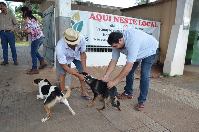 Equipe do CCZ vacina 644 cães e 76 gatos no primeiro dia da campanha