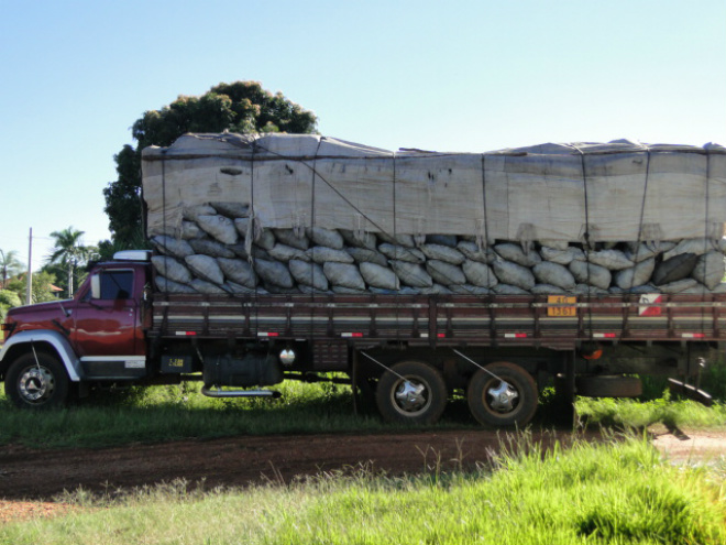 O carvão e o caminhão foram apreendidos e encaminhados à Delegacia de Polícia Civil de Guia Lopes da Laguna (Foto: Divulgação/PMA MS)