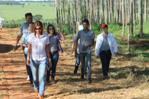 ... onde universitários do curso de Agronomia de Ilha Solteira são atraídos para adquirirem mais experiência... 