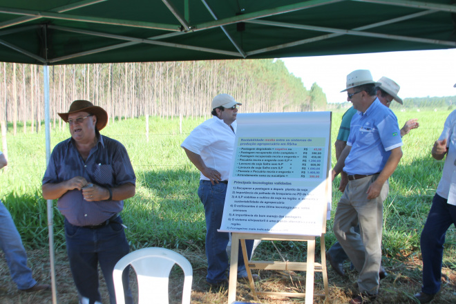 Armindo Kichel, pesquisador da Embrapa Gado de Corte explicou aos participantes do Dia de Campo na São Matheus que seis forrageiras obtiveram o melhor desempenho em consórcio com as florestas (Foto: Ricardo Ojeda)