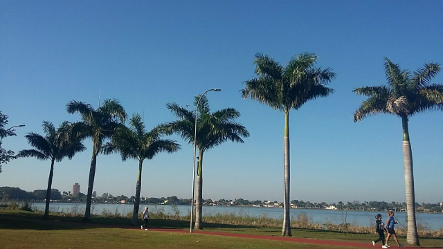 Na manhã de sábado, o céu se apresentou sem nuvens. No detalhe, os coqueiros da Lagoa Maior e praticantes de exercícios físicos. (Foto: Patrícia Miranda)
