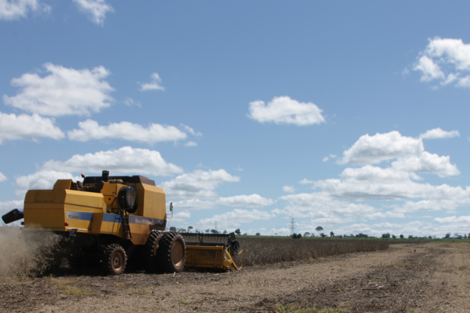 Além de investimentos em pesquisa, a São Matheus investiu também na compra de máquinas e implementos para plantar e colher com eficiência (Foto: Ricardo Ojeda)