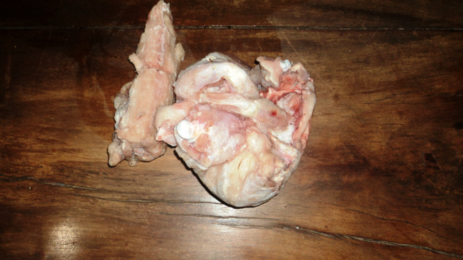 PMA prende homem por caça de vários animais e pesca predatória em Bonito Carne de jacaré apreendida (Foto: Divulgação/PMA)