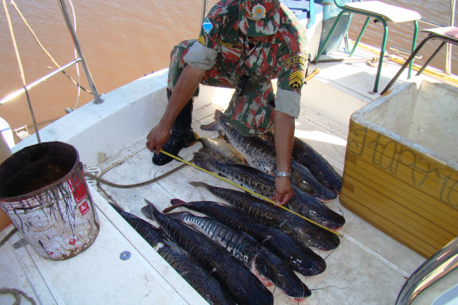 PMA apreende 128 kg de pesca com pescadores profissionais Os pescadores pescavam em local proibido e com petrechos ilegais (Foto: Divulgação/PMA)