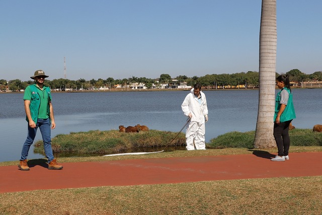 Prefeitura de Três Lagoas realiza ação para captura do carrapato-estrela na Lagoa Maior Esta é a segunda vez que o trabalho é feito neste ano e, em nenhuma das ações, o parasita foi identificado (Foto/Assessoria)