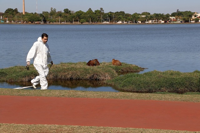 Prefeitura de Três Lagoas realiza ação para captura do carrapato-estrela na Lagoa Maior Prefeitura de Três Lagoas realiza ação para captura do carrapato-estrela na Lagoa Maior