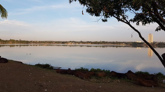 Dia terá céu aberto e tempo seco. Foto:Ricardo Ojeda
