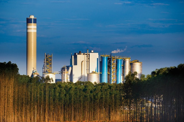 Unidade da Suzano em Três Lagoas completa 10 anos com recordes em produção e investimento social Crédito: Araquém Alcântara