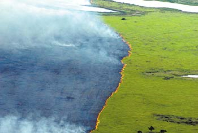 Pantanal é principal alvo da emergência ambiental.Imagem de arquivo mostra avanço da queimada do ano passado 
