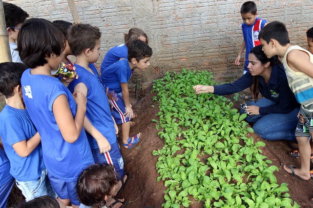 Cerca de 300 alunos da E.M. “Júlio Colino” participam de projeto em prol das famílias da Vila Vicentina Foto: Divulgação