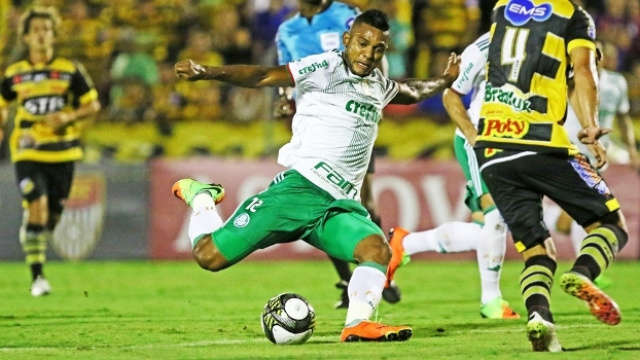 Dudu iguala Gabriel Jesus, Borja encerra jejum, Palmeiras vence de virada e abre vantagem Borja marcou o segundo gol do Palmeiras contra o Novorizontino. (Foto: Divulgação)