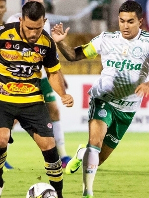 Dudu iguala Gabriel Jesus, Borja encerra jejum, Palmeiras vence de virada e abre vantagem Dudu em ação contra o Novorizontino. (Divulgação)