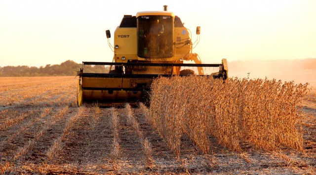 Mato Grosso do Sul aumenta exportações em 22% em um ano Mato Grosso do Sul aumenta exportações em 22% em um ano