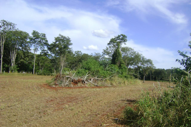 PMA autua segundo fazendeiro por desmatamento ilegal na região de MS