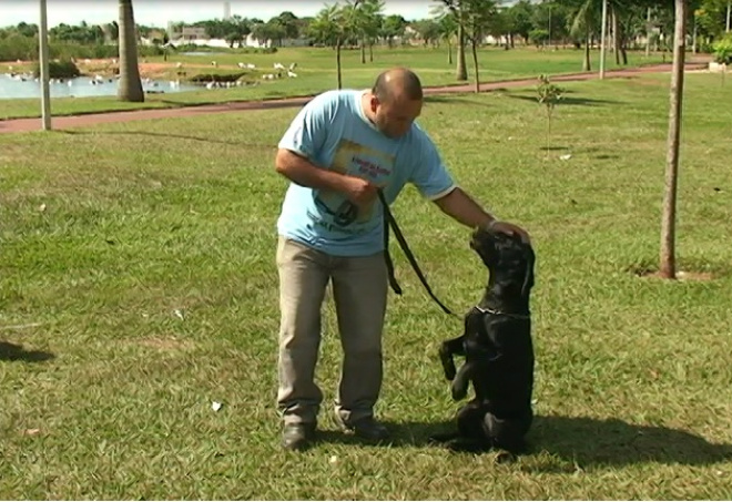 Você confere no Programa Perfil News a verdadeira amizade entre o homem e o cachorro
Foto: Maycon Almeida