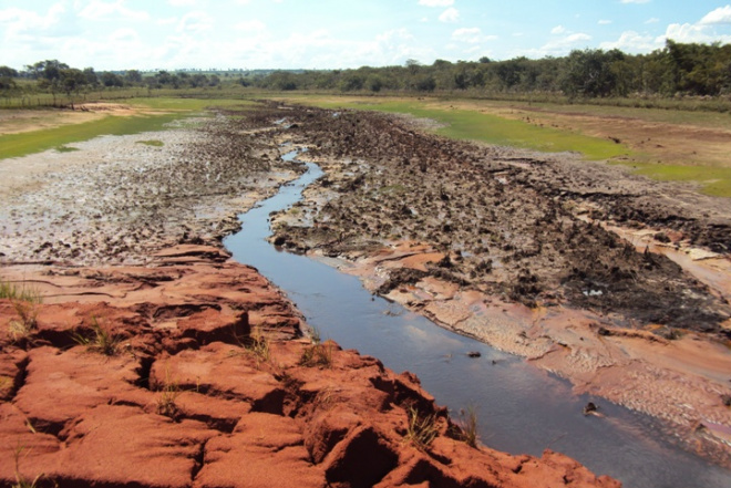 Cerca de 3.5 hectares foram construidos ilegalmente
Foto: Assessoria de Comunicação