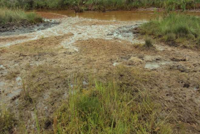 Fazendeiro leva multa de R$ 80 mil e ainda pode ser preso Fazenda Santa Adélia
Foto: Polícia Militar Ambiental