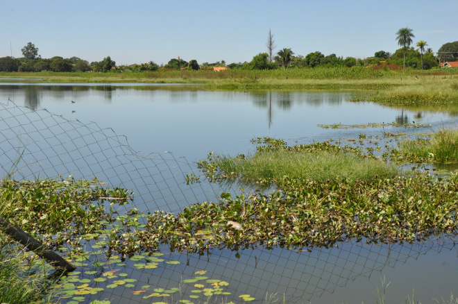 Mutirão de voluntários fará limpeza na segunda lagoa