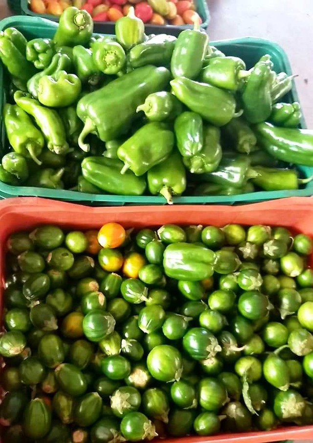 Novas famílias são inseridas no Programa Protege Brasilândia Hortifruti Divulgação