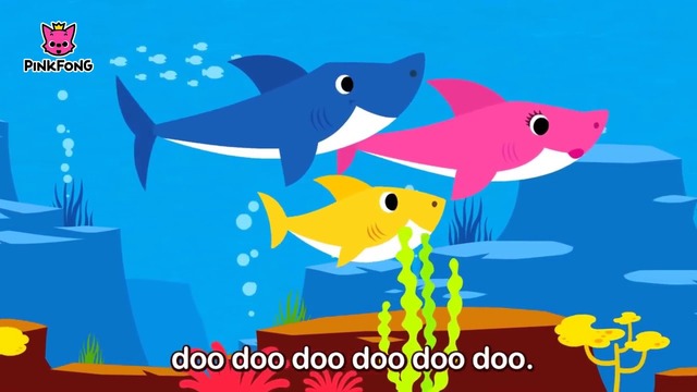 Cidade na Flórida toca "Baby Shark" sem parar para que sem-teto não durmam em pavilhão de eventos