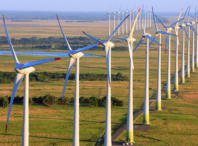 Geração de energia eólica já cresceu 17,8% em 2018 Foto: Divulgação