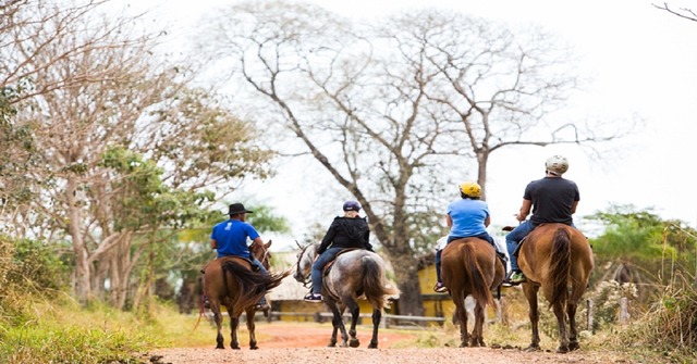 Fundtur e Uniderp firmam parceria para pesquisa em empreendimentos rurais no Pantanal