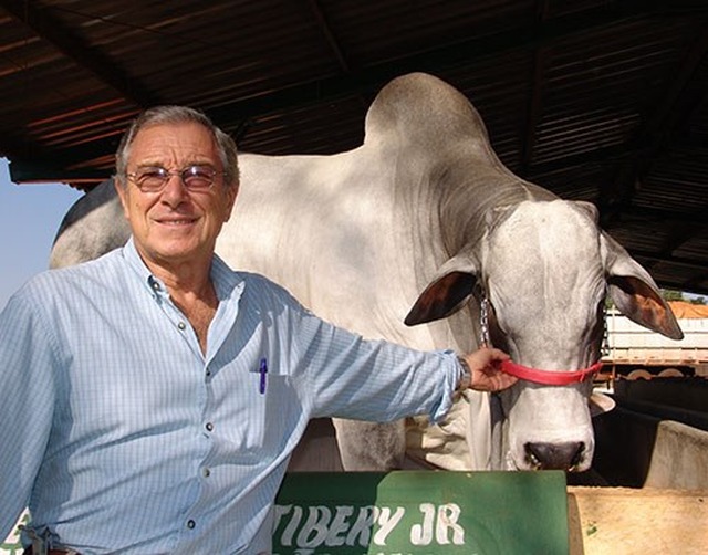 
Foto: Orestinho deixou um grande legado: seu amor pela raça Nelore e pela cidade de Três Lagoas (Foto: Divulgação)
