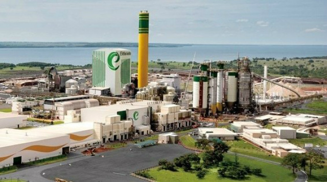 Investimentos em Florestas mudam cenários e impacta positivamente a economia da região Eldorado é responsável pela aplicação de R$ 30 milhões mensais em novos hortos e na manutenção das florestas existentes, consome diariamente 16 mil metros cúbicos de madeira por dia (Foto: Assessoria)