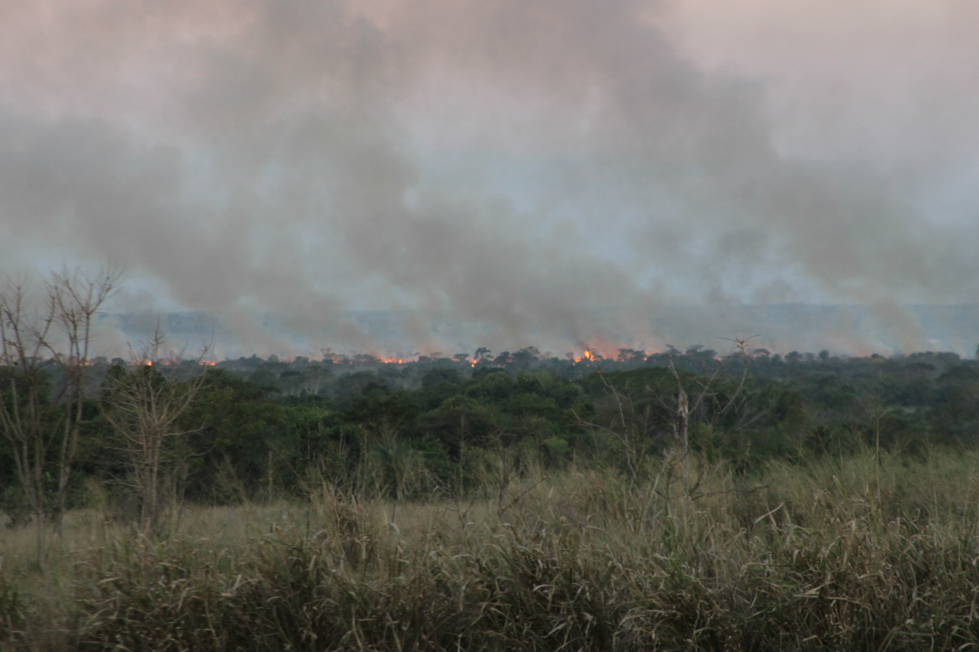Dos fundos da região do Jardim dos Ipês, as lentes da câmera fotográfica conseguiram captar o incêndio, cujas chamas alcançam altura preocupante (Foto: Edivelton Kologi)