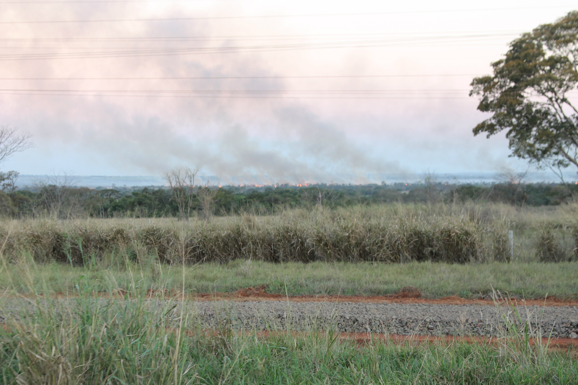 Do contorno ferroviário que está sendo construído até o local do incêndio, provavelmente, a distância seja uns 20 quilômetros, até as margens do rio Paraná (Foto: Edivelton Kologi)