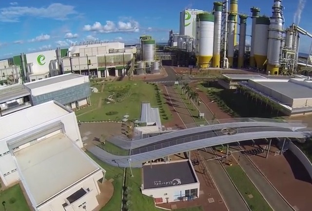Eldorado comemora 5 anos com produção recorde: 7,6 milhões de toneladas de celulose A Eldorado, até o mês de setembro, registrou lucro de R$ 713 milhões com a venda de 1,278 milhão de toneladas de celulose (Foto: Reprodução)
