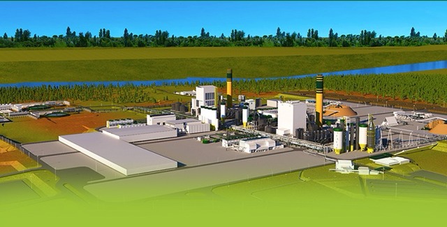 Eldorado comemora 5 anos com produção recorde: 7,6 milhões de toneladas de celulose Maquete do Projeto Vanguarda 2.0 que foi lançado em junho de 2015 (Foto: Reprodução)