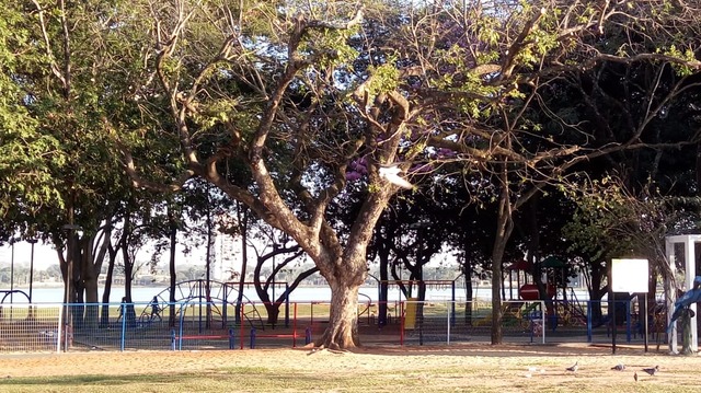 Semana começa quente e sem previsão de chuva em Três Lagoas Foto: Gisele Berto