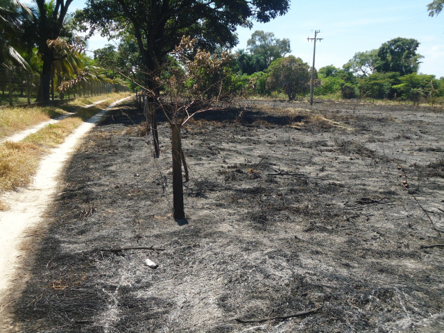 O proprietário perdeu o controle e o fogo adentrou o rancho vizinho. (Foto: Assessoria)