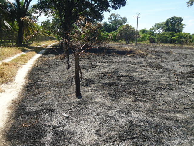 Dono de rancho em Três Lagoas é autuado por incêndio que adentrou área vizinha O proprietário perdeu o controle e o fogo adentrou o rancho vizinho. (Foto: Assessoria)
