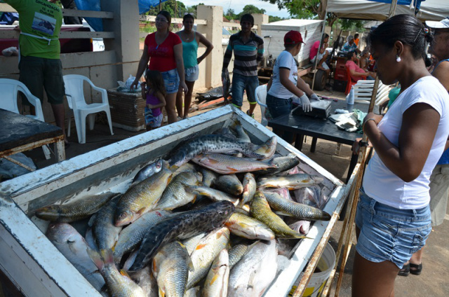 Feira do Pescado promete superar ano de 2015 A Feira do Pescado acontece durante todo o dia, até as 18h dessa Quinta-Feira Santa, na Avenida Rosário Congro (Foto: Assessoria)
