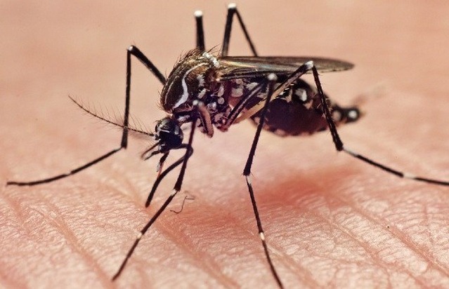 Três Lagoas chega aos 3.390 casos confirmados de dengue neste ano