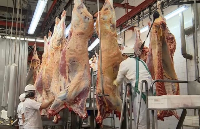Com Carne Fraca, abate de bovinos e frangos recua no 2º trimestre em relação a 2016 Frigorífico (Foto: Reprodução/RBS TV)
