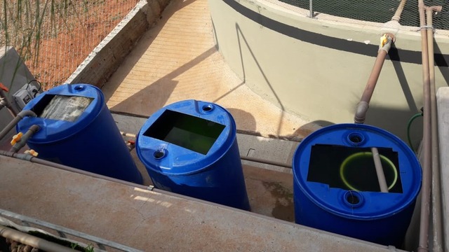 Piscicultura proporciona trabalho e ressocialização para detentos da Penitenciária de Três Lagoas Sistema garante produção autossuficiente e bio-sustentável, com reaproveitamento da água.