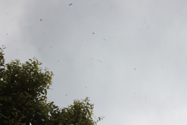 O céu amanheceu com nuvens, no entanto não há possibilidade de chuva para hoje em Três Lagoas. (Foto: Arquivo Perfil News)
