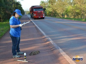 Monitoramento de atropelamento de animais. (Foto: ITTI)