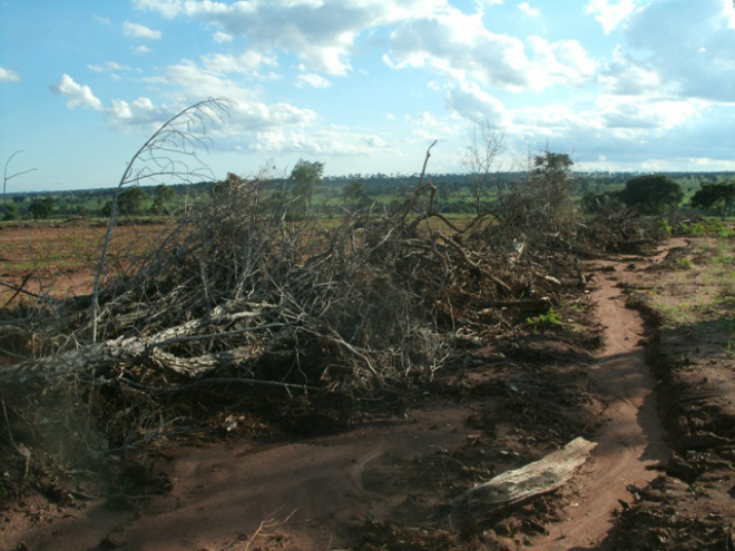 PMA autua fazendeira paulista por desmatamento ilegal Ela responderá por crime ambiental e, se condenada pelo desmatamento, poderá pegar pena de três a seis meses de detenção (Foto: Divulgação/Assecom)