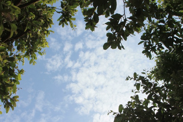 Apesar de algumas nuvens no céu, de acordo com o site Climatempo há previsão de 5 mm de chuva para hoje. (Foto: Thais Dias)
