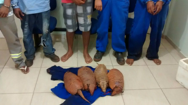 Cinco são preso por caça na MS-395 entre Bataguassu e Brasilândia Durante fiscalização de rotina cinco são presos por caça predatória (Foto:Da Hora Bataguassu)