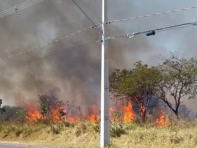 Incêndio consome quatro alqueires em área próxima ao aeroporto