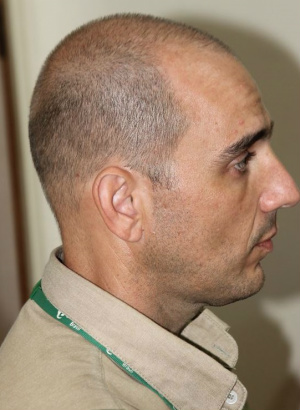 Carretas com madeira percorrem milhões de km para abastecer pátio da Eldorado