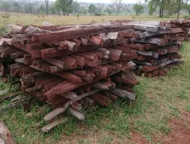 Polícia Civil de Três Lagoas esclarece furto de madeira em fazendas