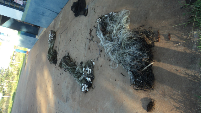 PMA desmonta acampamento e apreende 110 Kg de peixes e 200 metros de pesca As redes no solo próximas a uma vegetação (Foto: Divulgação/PMA MS)