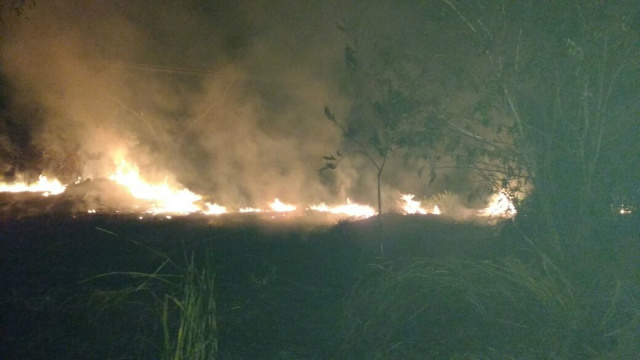 O fogo consumiu uma área de mil m² na região do Jupiá em Trés Lagoas, no último final de semana. (Foto: 5º GBM)
